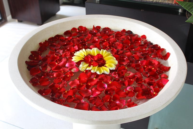 Spa Vacations